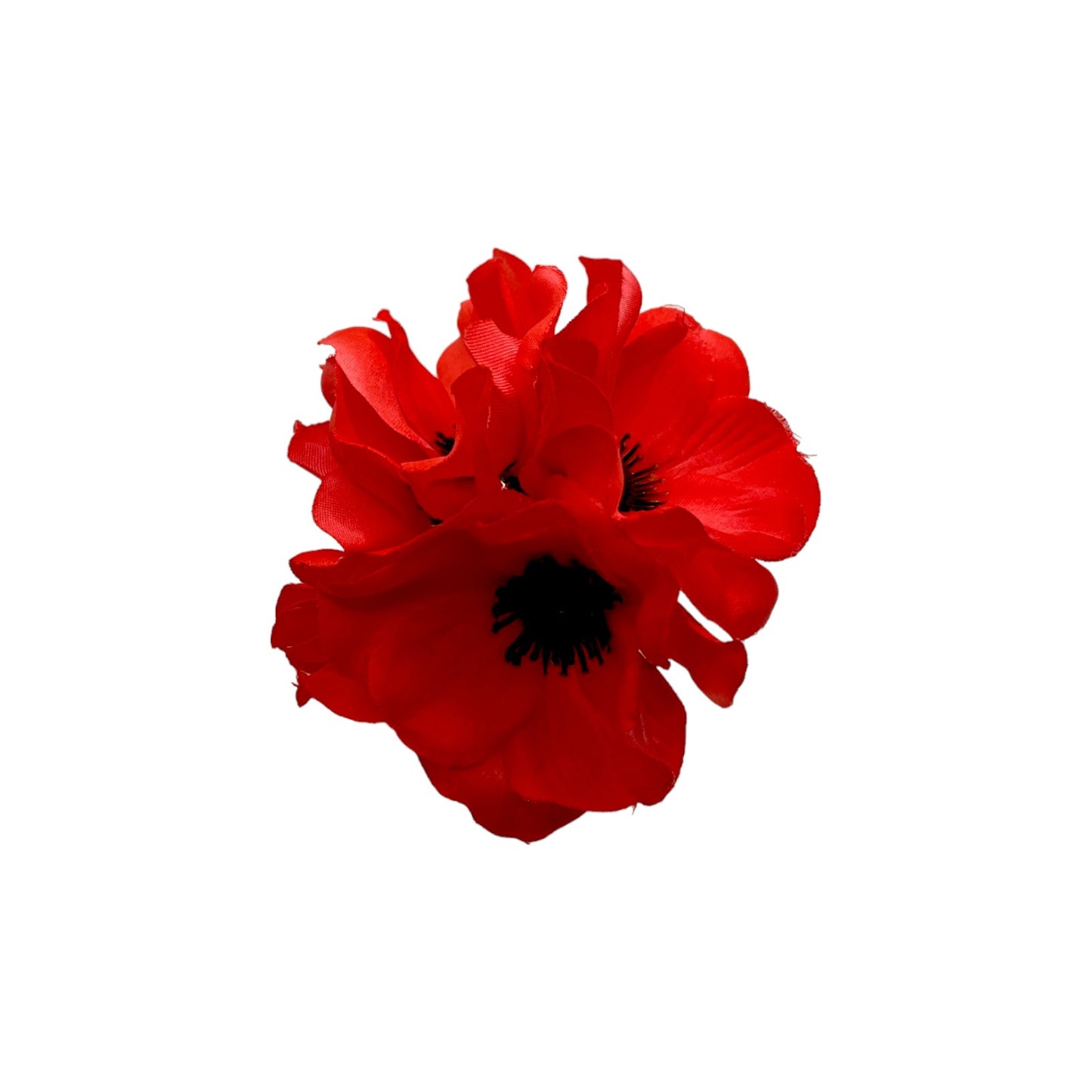 Ramillete de Amapolas
