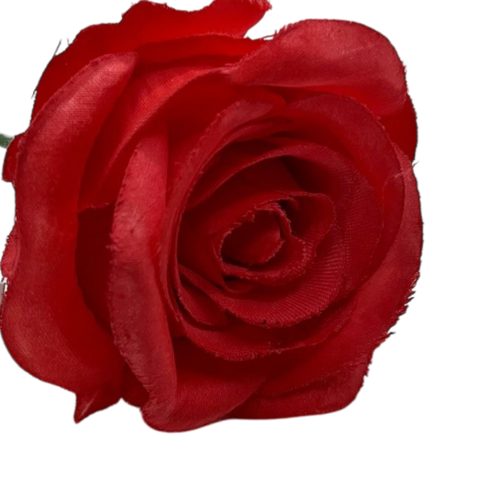 Rosa única