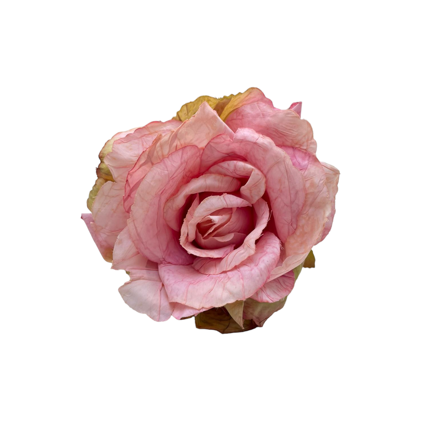 Rosa Natural