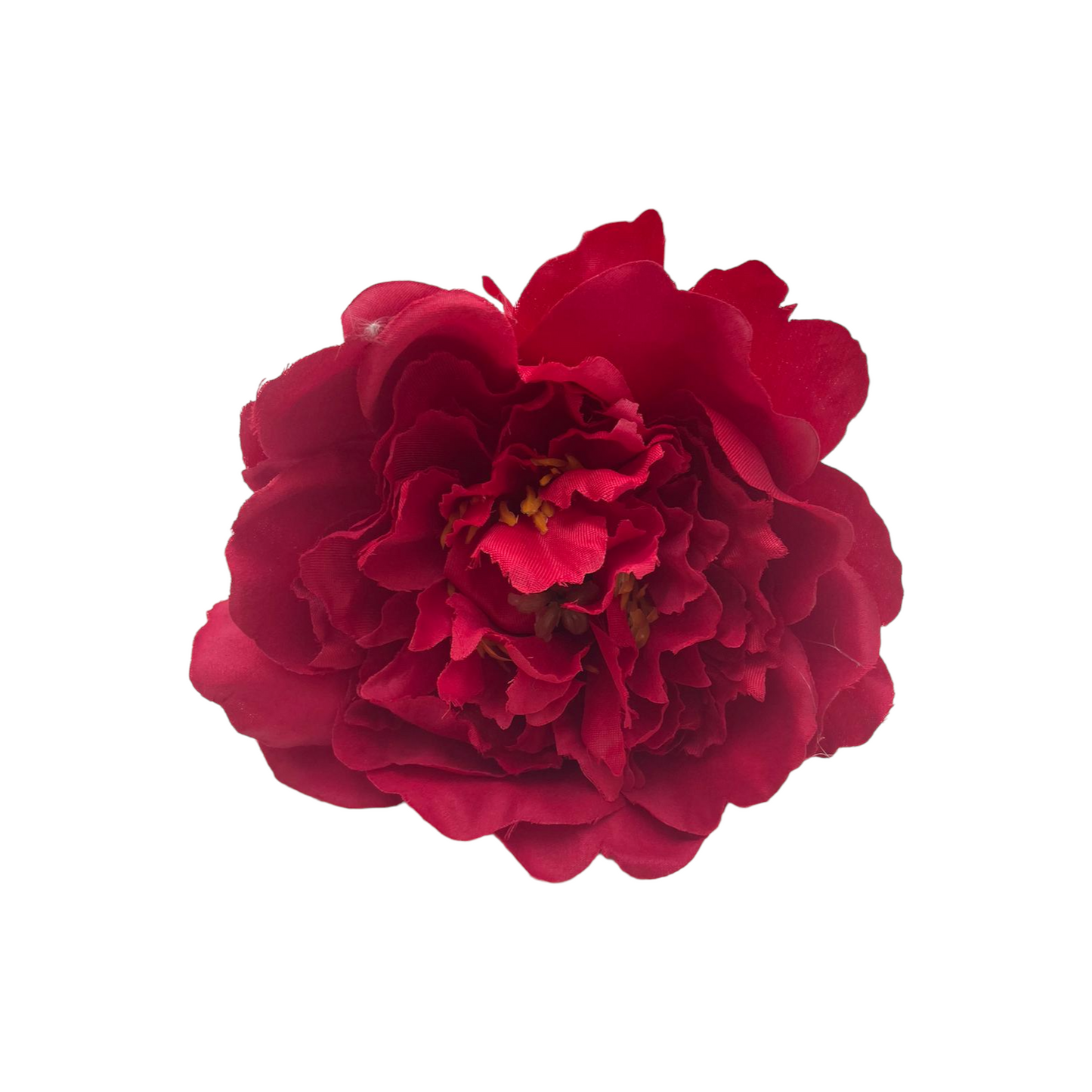 Peonia Gilbert Grande