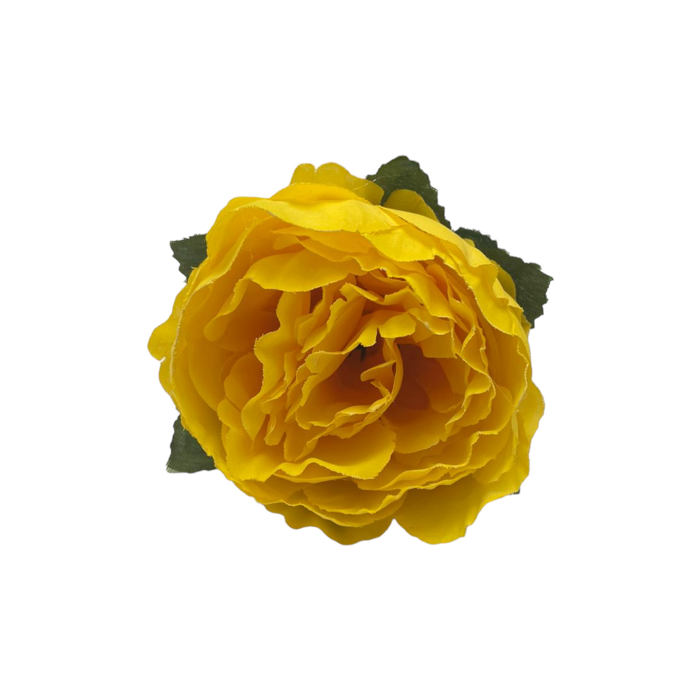 Peonia Charm
