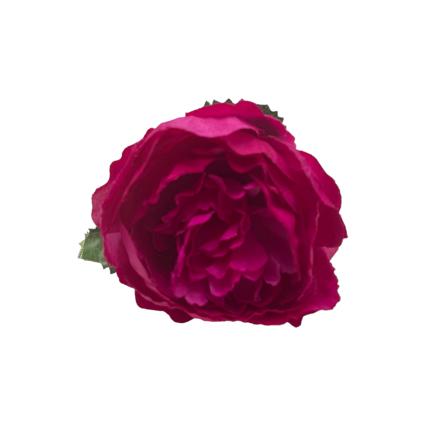Peonia Charm