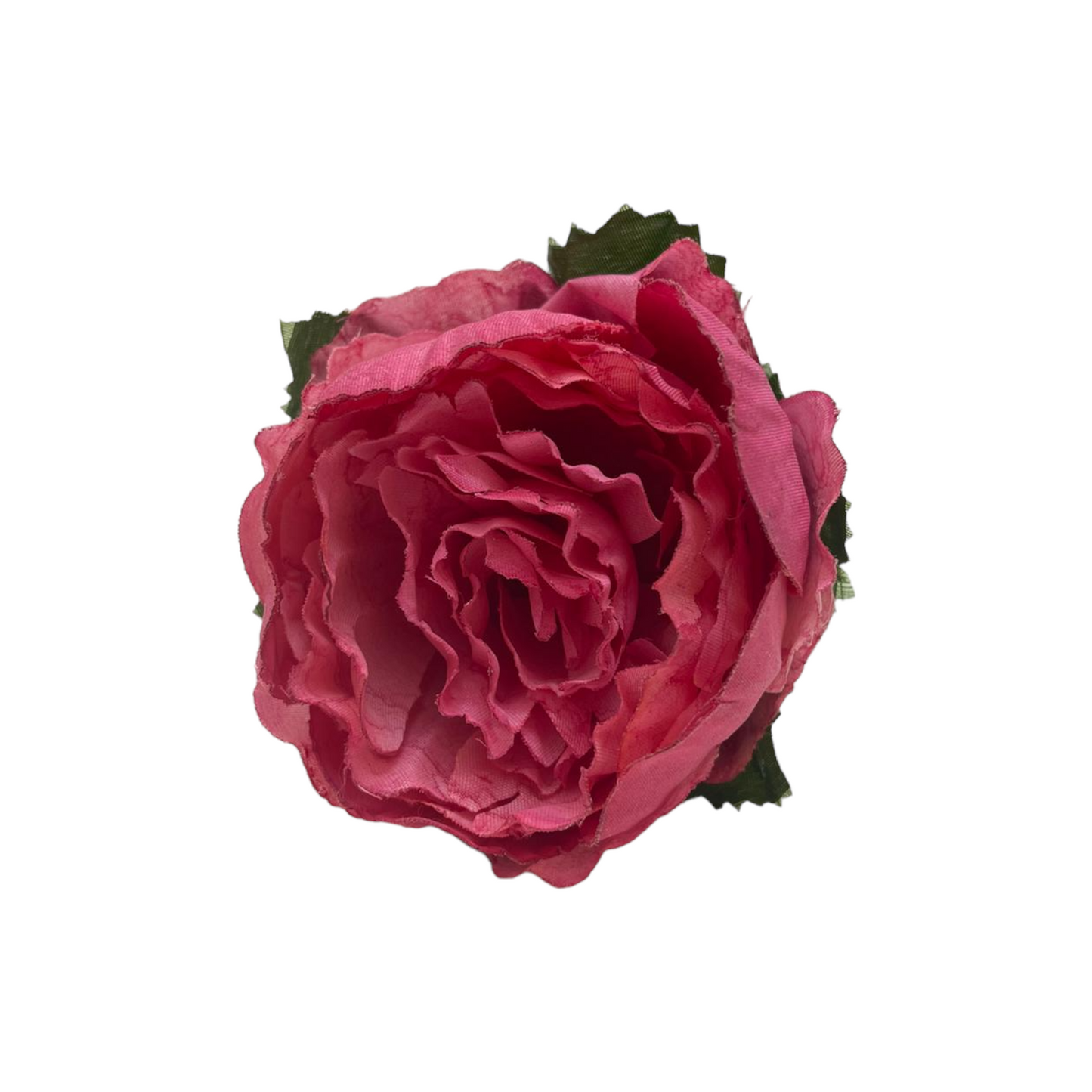 Peonia Charm