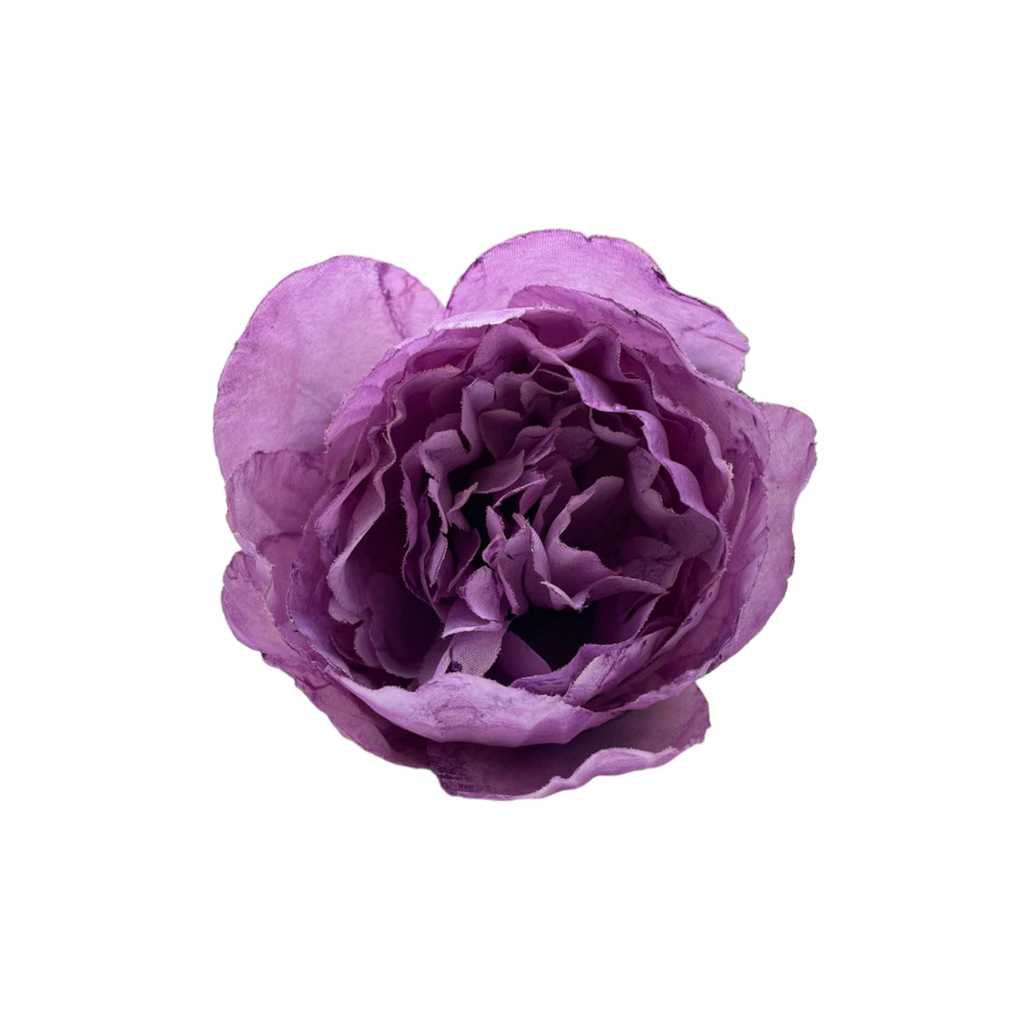 Peonia Charm