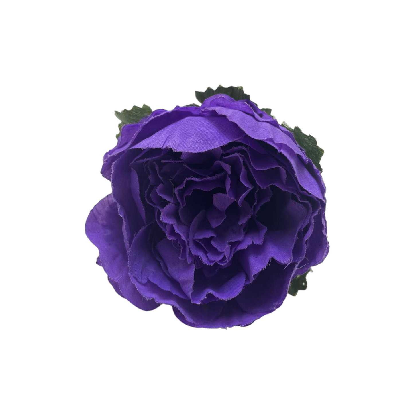 Peonia Charm
