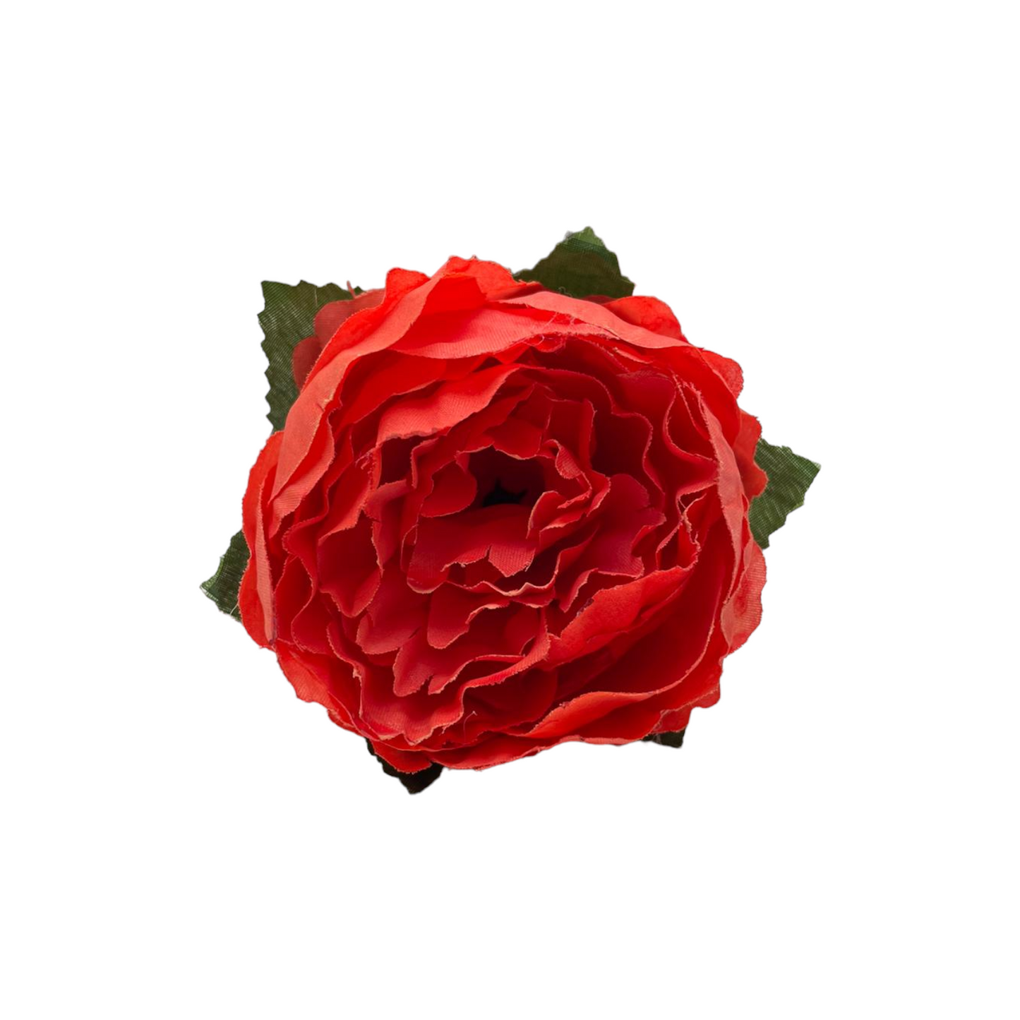 Peonia Charm