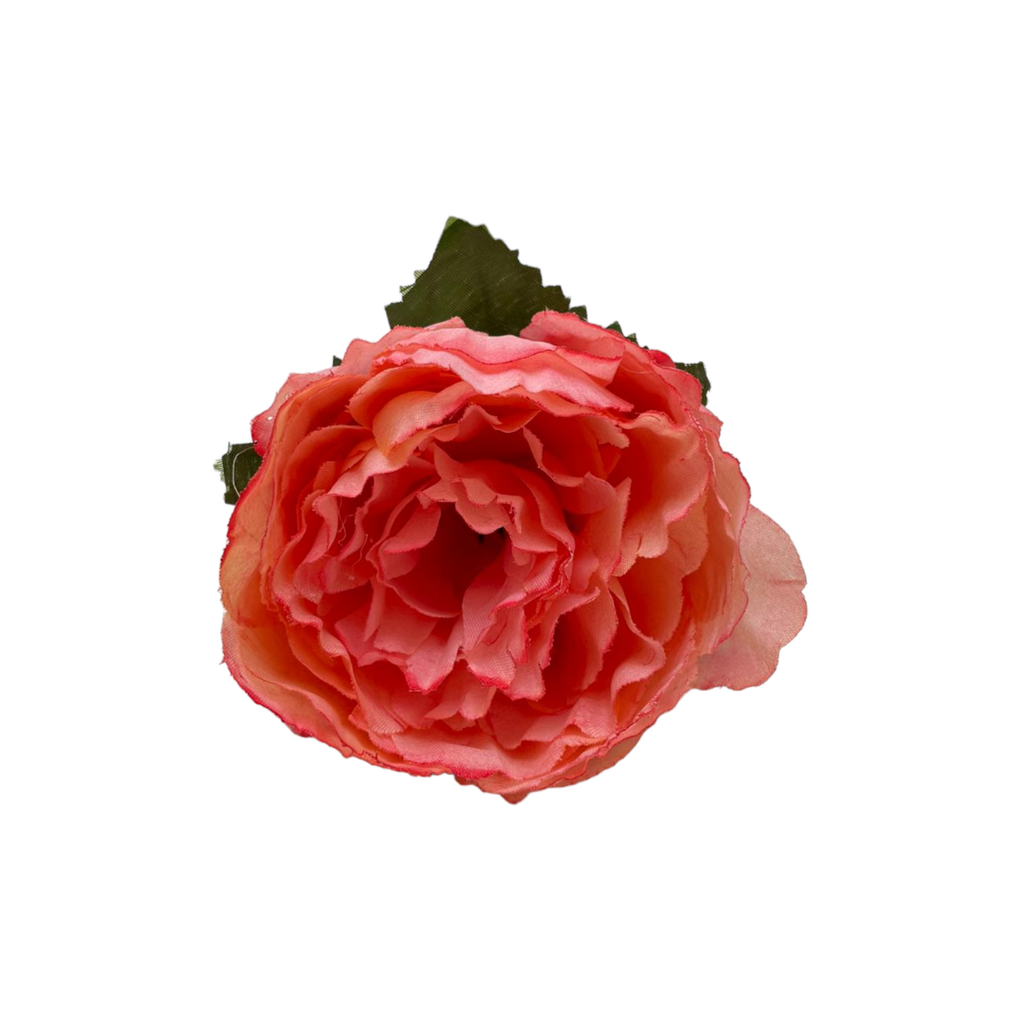 Peonia Charm