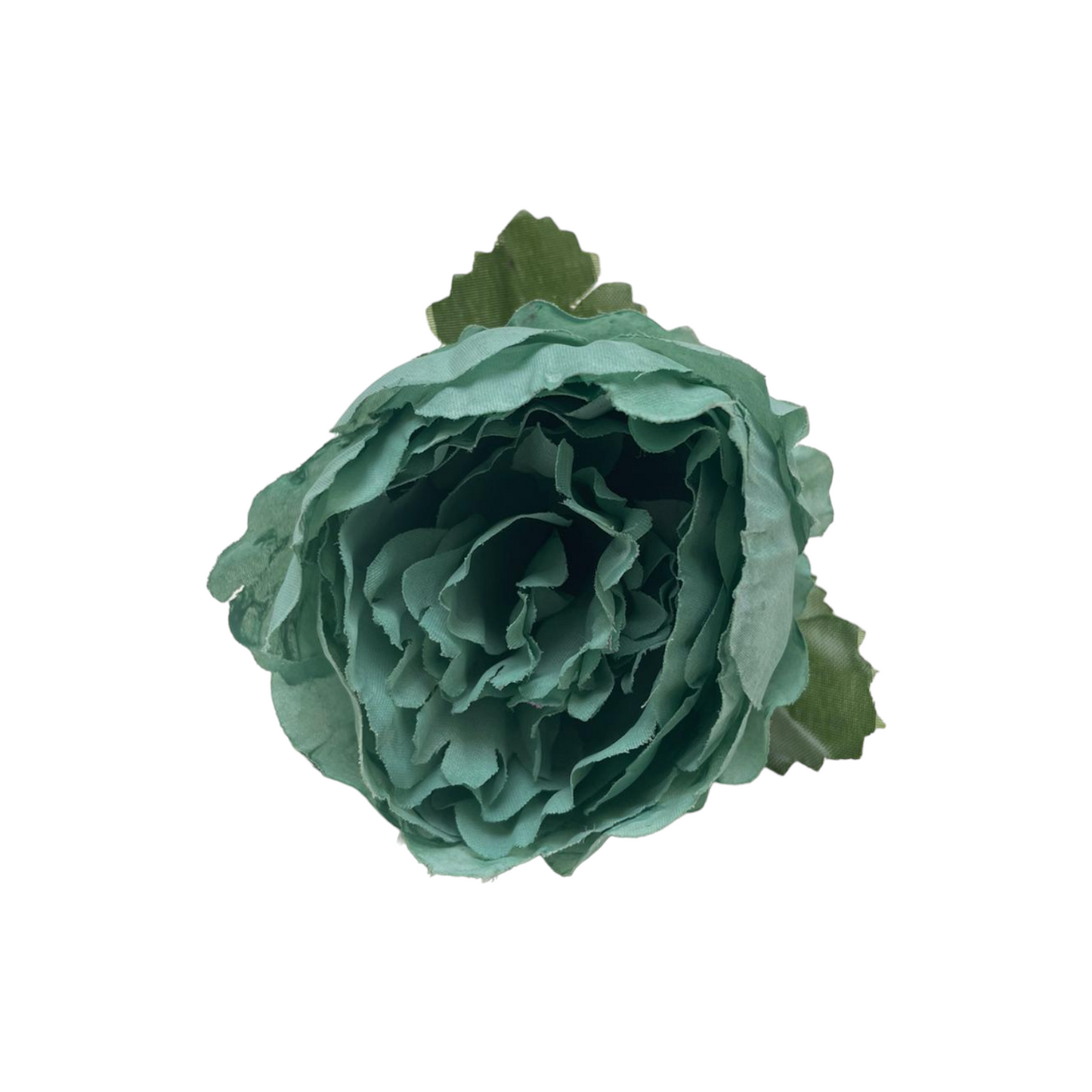 Peonia Charm