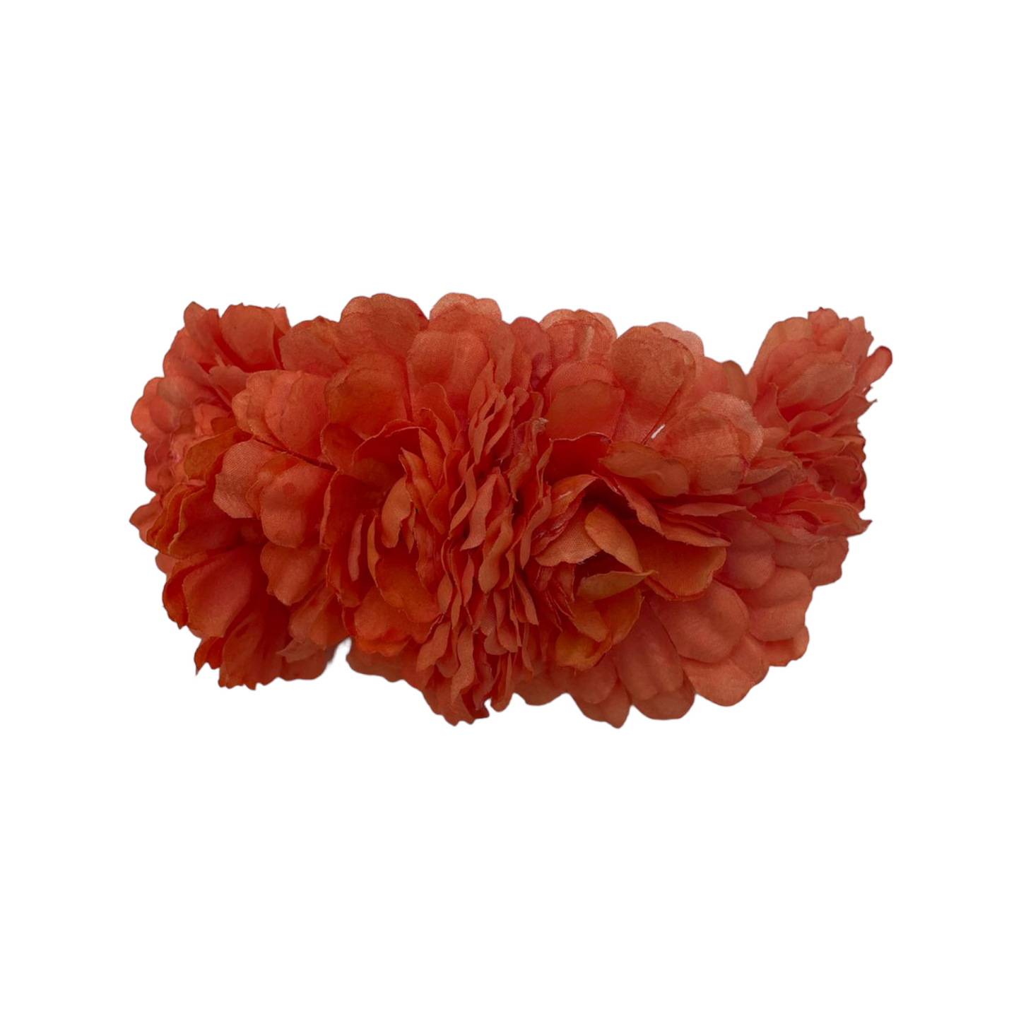 Semicorona Camelias