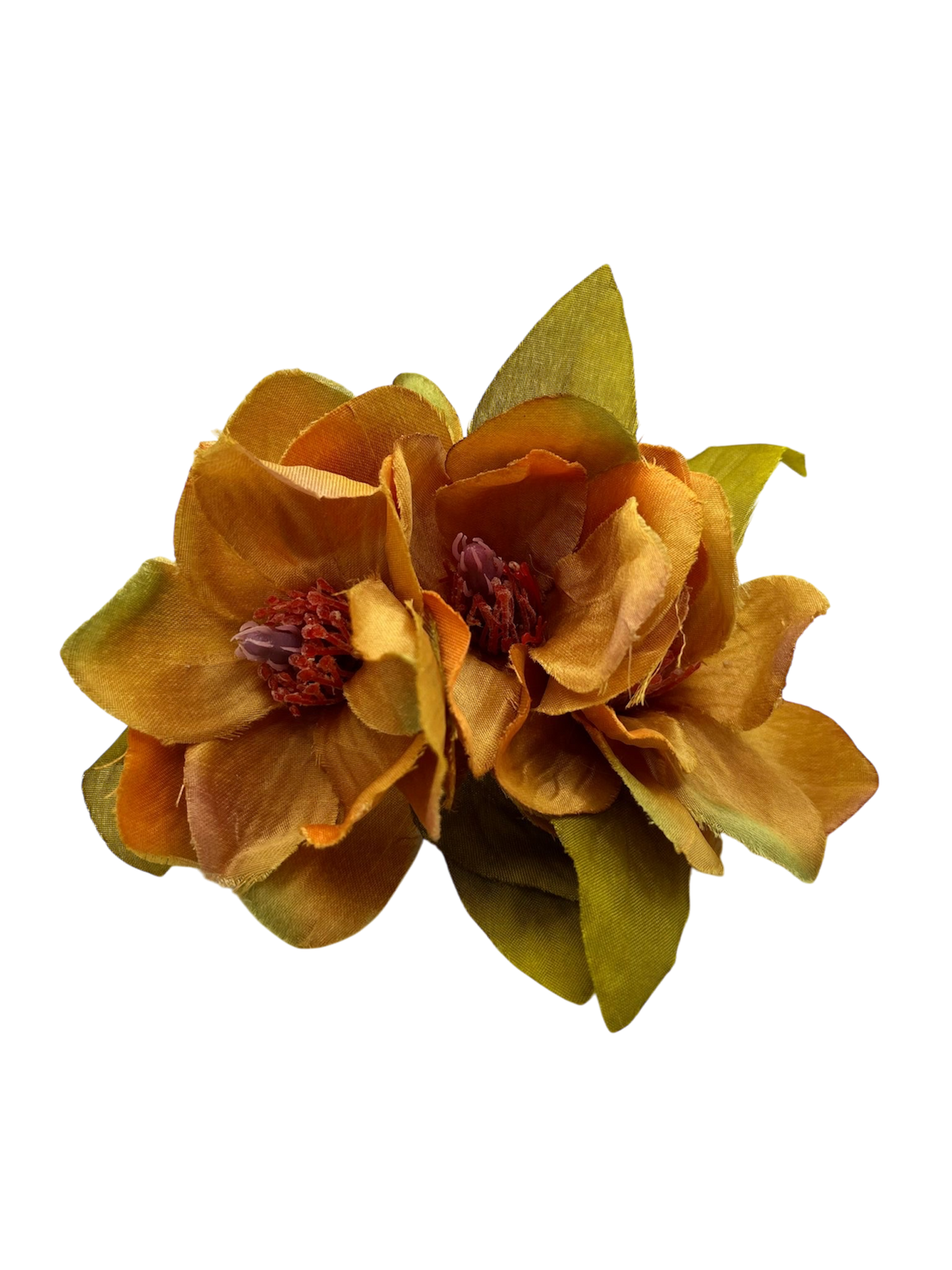 Semicorona magnolias