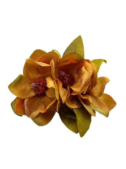 Semicorona magnolias