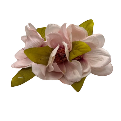 Semicorona magnolias