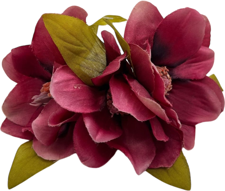 Semicorona magnolias
