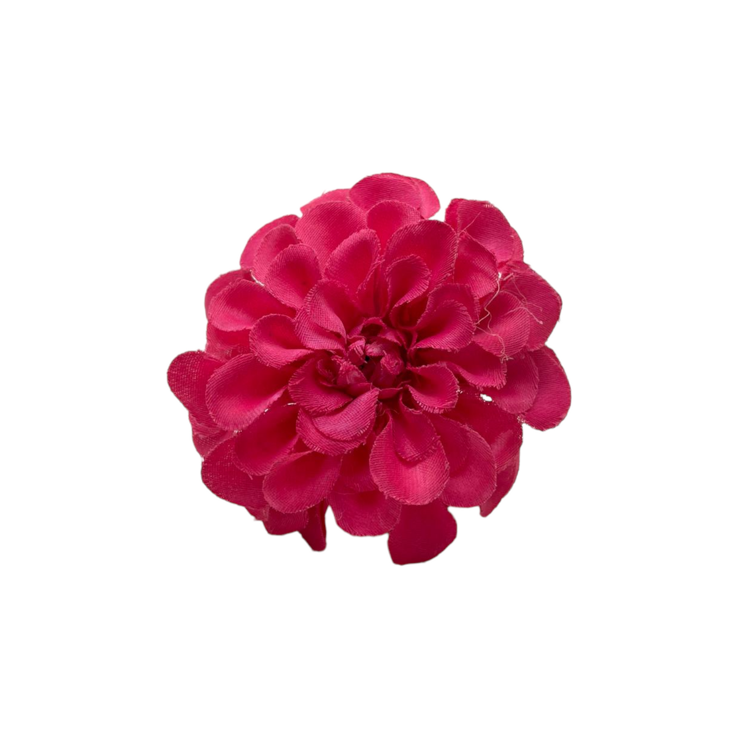 Flor Zinnia (niña)