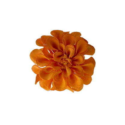 Flor Zinnia (niña)